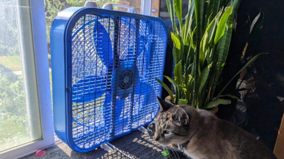 Here’s How I Cooled My Bedroom Fast Without Turning On the AC