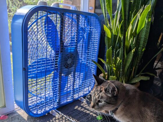 Here’s How I Cooled My Bedroom Fast Without Turning On the AC