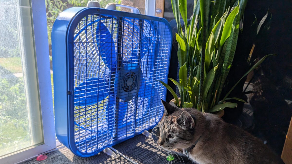 Here's How I Cooled My Bedroom Fast Without Turning On the AC