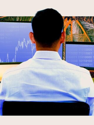 Inside the  billion cottage industry cashing in on the retail-trading phenomenon