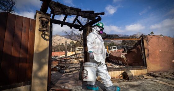 Insurer of last resort faces questions over smoke damage claims