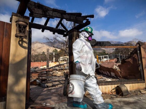 Insurer of last resort faces questions over smoke damage claims