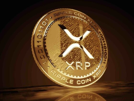 Key Levels To Watch In Light Of XRP’s Macro Future