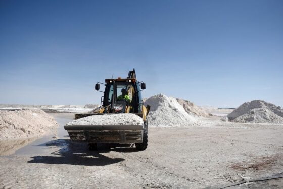 Lithium stocks rally as CATL mine halt raises prospects of tighter supply