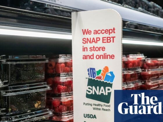 Low-wage workers reeling over Trump’s looming Snap cuts as food prices rise | US domestic policy