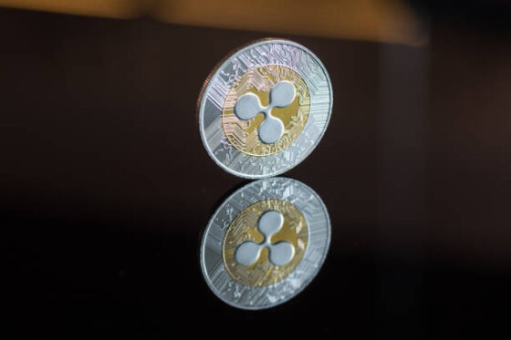 Market Cap Not A Hindrance To XRP Price Reaching ,000, Expert Explains Why