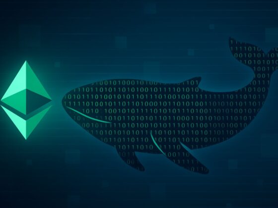 Mysterious Whale Buys 3M In Ethereum: Quiet Smart Money Accumulation?