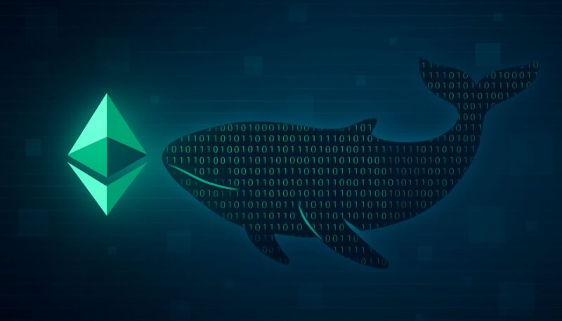 Mysterious Whale Buys 3M In Ethereum: Quiet Smart Money Accumulation?