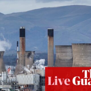 Oil and gold prices retreat amid Ukraine optimism; Britain’s biggest chemical plant under threat – business live | Business