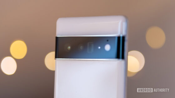 Pixel 6 Pro camera crashes when zooming, and there is no fix