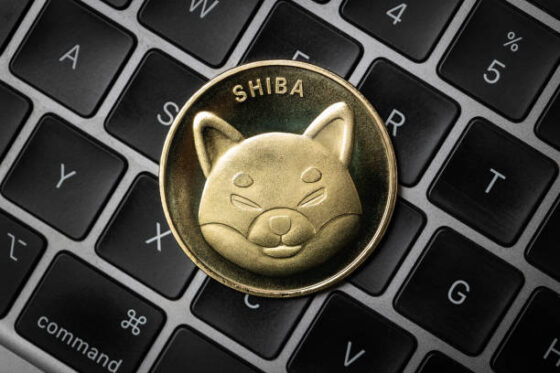 Shiba Inu’s Shibarium Suffers Crash In Major Metric, Is SHIB Price At Risk?