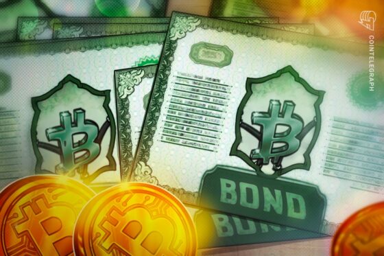 Smarter Web Company Issues M of Bitcoin-Denominated Bonds