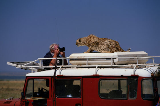 Stablecoins and Treasuries: A Fragile Funding Link Investors Can’t Ignore