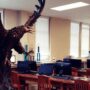 Struggling education brand closed after Chapter 7 bankruptcy