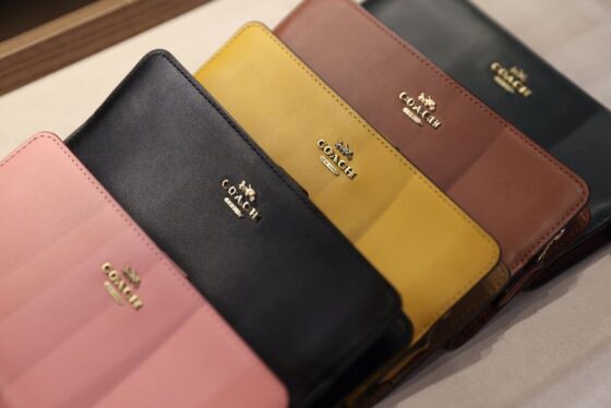 Tapestry quarterly revenue likely rose 5.5% as Coach bags drew young shoppers