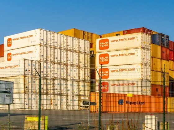 Temu shipping from China to U.S. again, amid tariff tensions