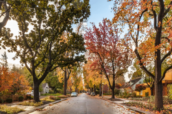 The hidden cost of living amid Mark Zuckerberg’s 0M compound