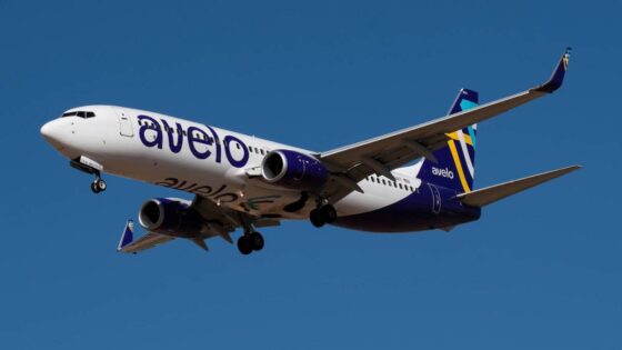 These 3 airlines run 80% of all chartered deportation flights