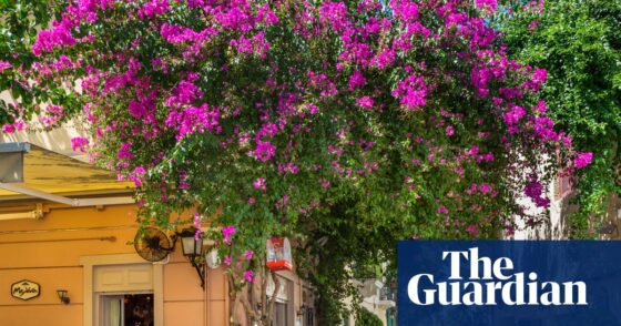 Thousands of hotels in Europe to sue Booking.com over ‘abusive’ practices | Travel & leisure