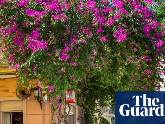 Thousands of hotels in Europe to sue Booking.com over ‘abusive’ practices | Travel & leisure