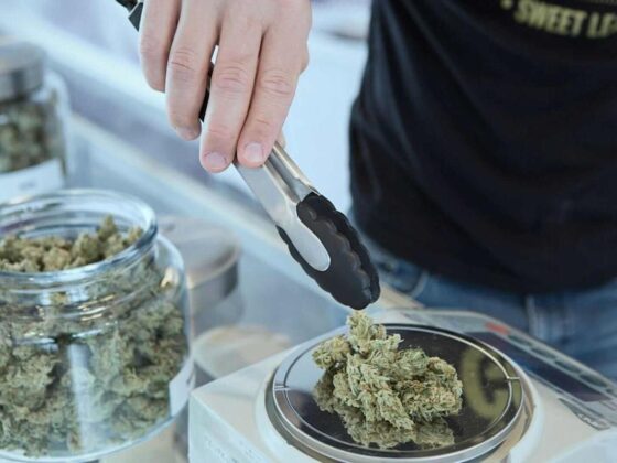 Tilray’s Stock Price Is Growing Like a Weed. Here’s Why, and What Comes Next.