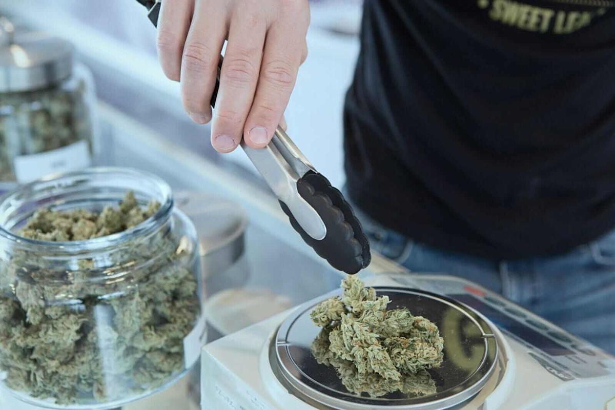 Tilray’s Stock Price Is Growing Like a Weed. Here’s Why, and What Comes Next.