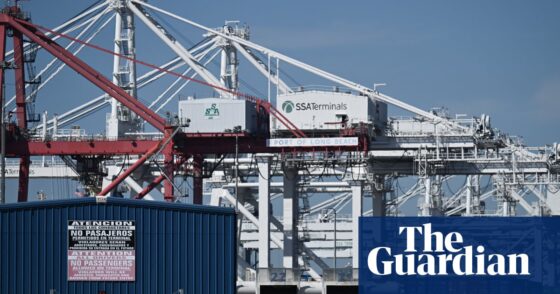 Trump’s promise of a US manufacturing renaissance leaves experts scratching their heads | Trump tariffs