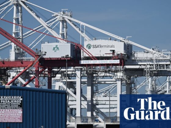 Trump’s promise of a US manufacturing renaissance leaves experts scratching their heads | Trump tariffs