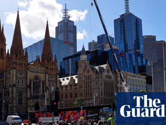 Use of AI could worsen racism and sexism in Australia, human rights commissioner warns | Artificial intelligence (AI)