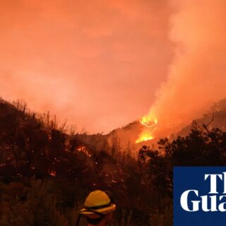 Vineyards assess damage as wildfire rips through California wine country: ‘a devastating situation’ | California wildfires