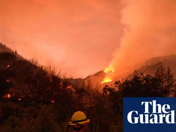 Vineyards assess damage as wildfire rips through California wine country: ‘a devastating situation’ | California wildfires