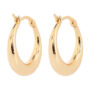 Walmart is selling  gold-plated hoop earrings for  that 'are cute for everyday'