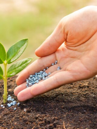 Wells Fargo Edges Up Nutrien (NYSE:NTR) Price Target, Keeps Cautious Stance Amid Fertilizer Market Recovery