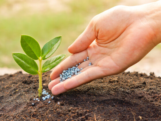 Wells Fargo Edges Up Nutrien (NYSE:NTR) Price Target, Keeps Cautious Stance Amid Fertilizer Market Recovery