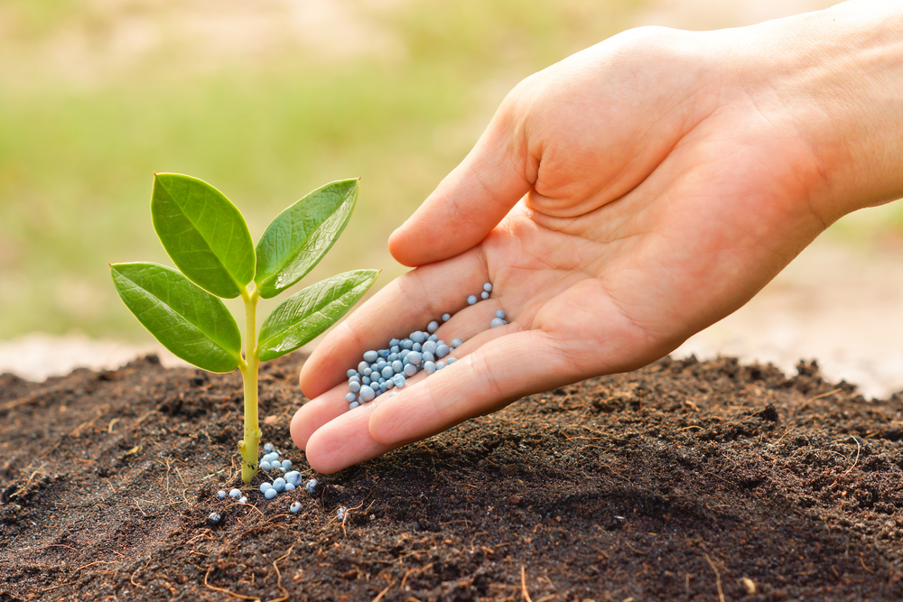 Wells Fargo Edges Up Nutrien (NYSE:NTR) Price Target, Keeps Cautious Stance Amid Fertilizer Market Recovery