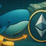 Whale Adds 5-M Ethereum As Institutional Demand Drives Market