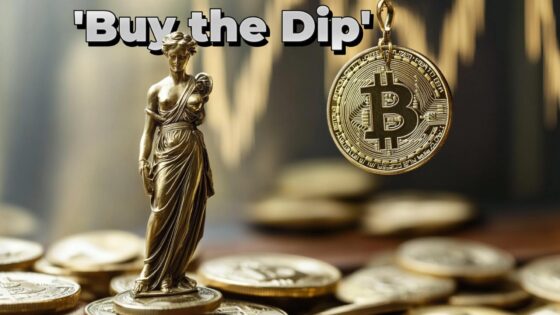 Whale Buys 300 Bitcoins Daily Despite Market Crash