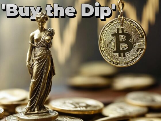 Whale Buys 300 Bitcoins Daily Despite Market Crash