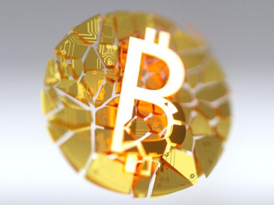 What Would Happen If Bitcoin Totally Crashed?