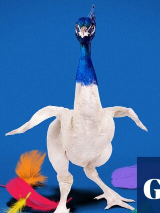 What’s in a name? MSNBC, soon to be MS Now, adds to perilous history of the corporate rebrand | MSNBC