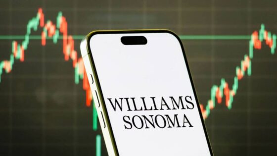 Williams-Sonoma triumphs over tariffs while major rivals stumble