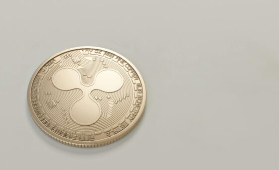 XRP Must Hold .65 Support Or Risk Major Breakdown – Analyst