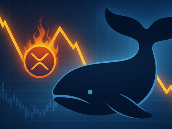 XRP Whale Activity Signals Warning: Distribution Pattern Resurfaces