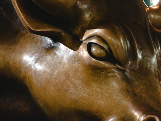 XRP’s Toughest Bull Run Could Lead To Big Gains, Analyst Claims