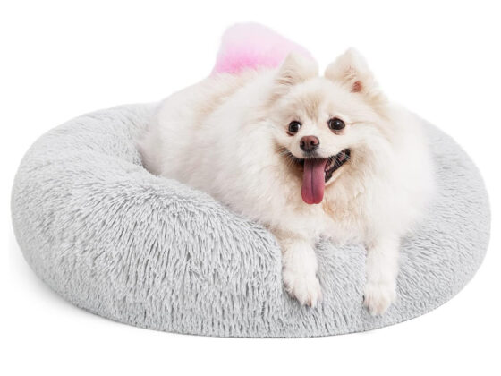 "She now guards this bed like it is her prized possession."