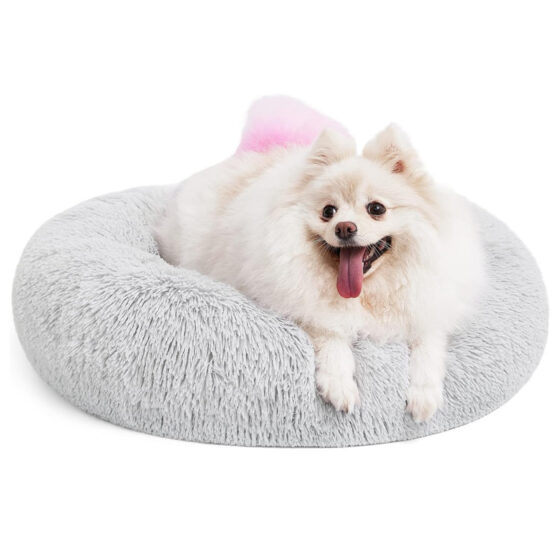 "She now guards this bed like it is her prized possession."