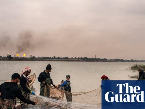 ‘It’s destruction disguised as progress’: how the oil industry is sucking Iraq’s ancient wetlands dry | Wetlands