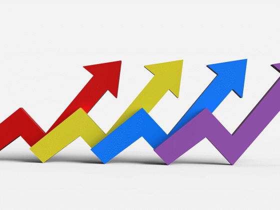 Diversity and Investment Performance: What Trade-Off?