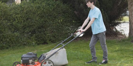 AI told me hilariously wrong things about Elon Musk’s childhood job at a landscaping company—here’s why that matters on Labor Day