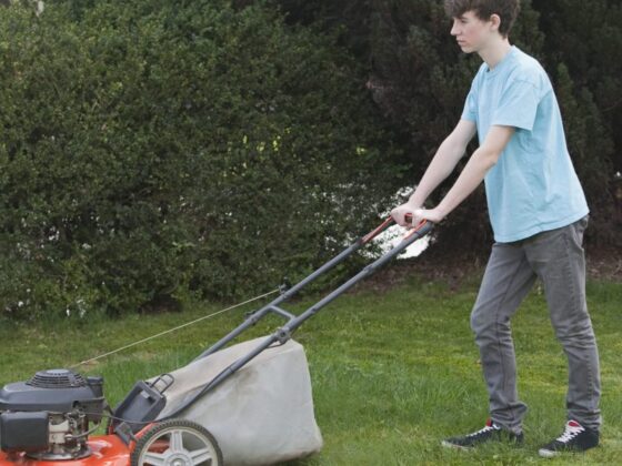 AI told me hilariously wrong things about Elon Musk’s childhood job at a landscaping company—here’s why that matters on Labor Day